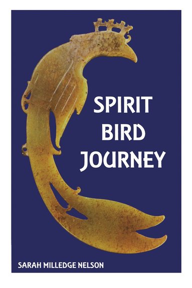 bokomslag Spirit Bird Journey