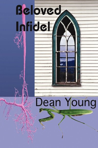 Dean Young - Beloved Infidel, Häftad
