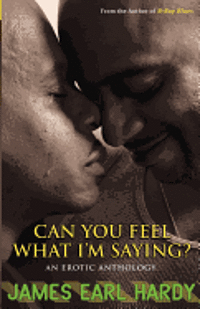 bokomslag Can You Feel What I'm Saying?: An Erotic Anthology