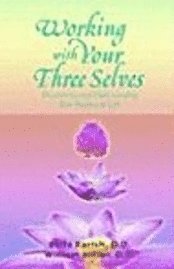 Working with Your Three Selves 1