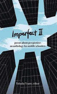 bokomslag Imperfect II
