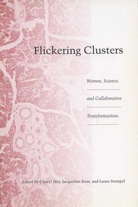 bokomslag Flickering Clusters