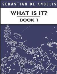bokomslag What Is It Book 1: Drawings 1 to 250