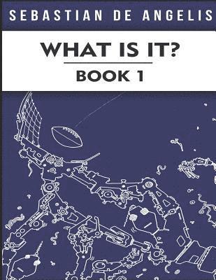 bokomslag What Is It Book 1: Drawings 1 to 250