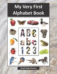 bokomslag My Very First Alphabet Book
