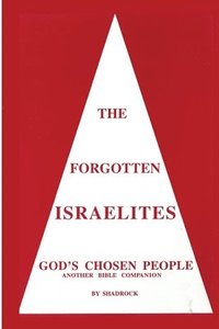 bokomslag Forgotten Israelites