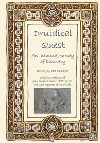 bokomslag Druidical Quest