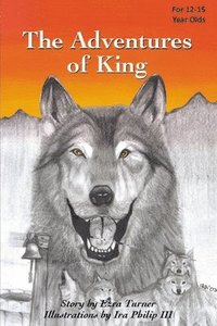 bokomslag The Adventures of King