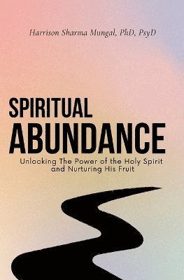 bokomslag Spiritual Abundance