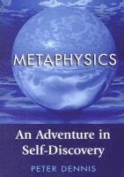bokomslag Metaphysics: An Adventure in Self-discovery