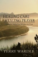 bokomslag Healing Care, Healing Prayer