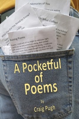 bokomslag A Pocketful of Poems