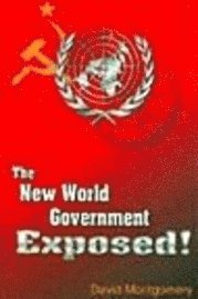 bokomslag New World Government Exposed