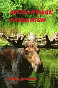 bokomslag Adirondack Sasquatch