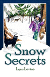 bokomslag Snow Secrets