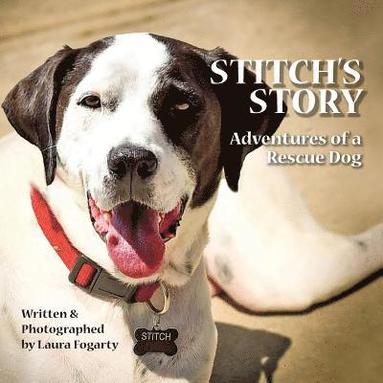 bokomslag Stitch's Story: Adventures of a Rescue Dog