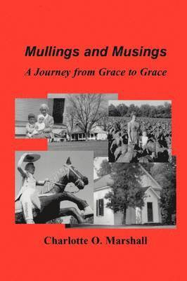 bokomslag Mullings and Musings