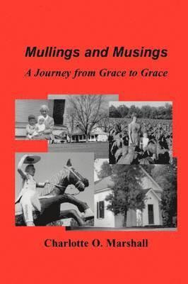bokomslag Mullings and Musings: A Journey from Grace to Grace