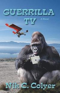 bokomslag Guerrilla TV