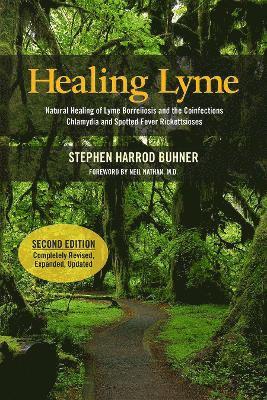 bokomslag Healing Lyme