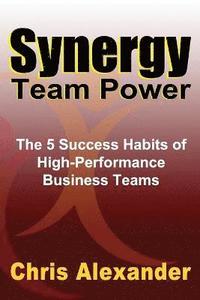 bokomslag Synergy Team Power