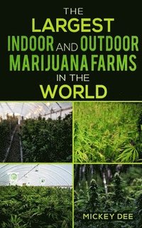 bokomslag The Largest Indoor and Outdoor Marijuana Farms in the World