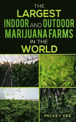 bokomslag Largest Indoor and Outdoor Marijuana Farms in the World