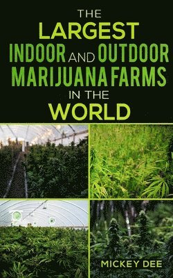 The Largest Indoor and Outdoor Marijuana Farms in the World 1