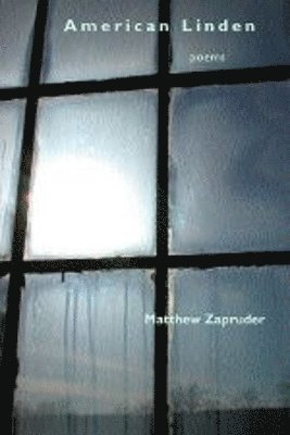 Matthew Zapruder - American Linden, Häftad