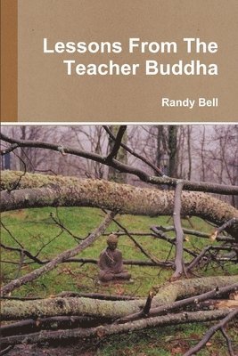 bokomslag Lessons From The Teacher Buddha
