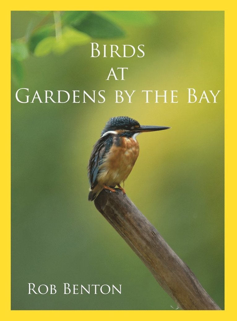 Birds at Gardens by the Bay 1