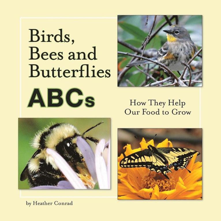 Birds, Bees and Butterflies ABCs 1