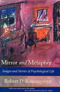 bokomslag Mirror and Metaphor