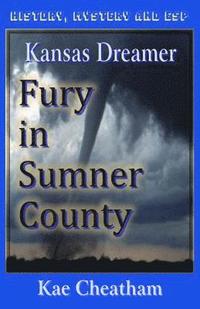 bokomslag Kansas Dreamer: Fury in Sumner County