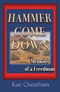 bokomslag Hammer Come Down: Memoirs of a Freedman