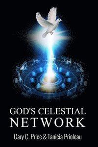 bokomslag God's Celestial Network
