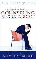 bokomslag A Biblical Guide to Counseling the Sexual Addict