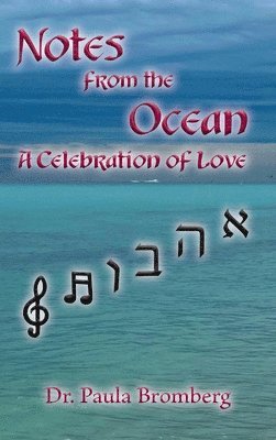bokomslag Notes from the Ocean