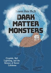 bokomslag Dark Matter Monsters