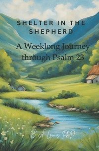 bokomslag Shelter in the Shepherd