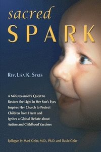 bokomslag Sacred Spark