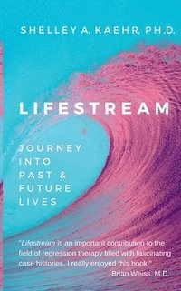 bokomslag Lifestream: Journey Into Past & Future Lives