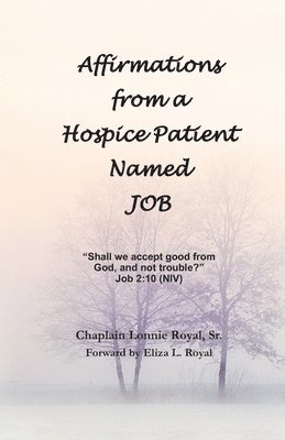 bokomslag Affirmations from a Hospice Patient Named JOB