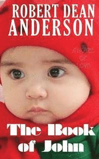 Robert Dean Anderson - The Book of John, Häftad