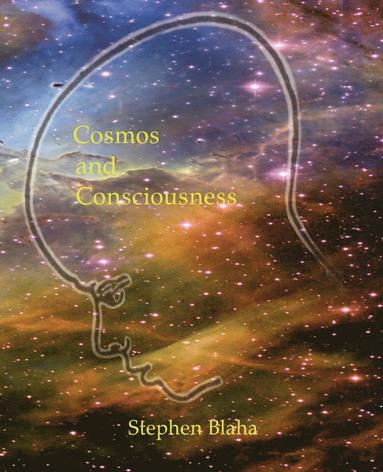 Stephen Blaha - Cosmos and Consciousness, Häftad
