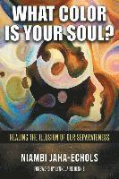 bokomslag What Color Is Your Soul?: Healing The Illusion Of Our Separateness