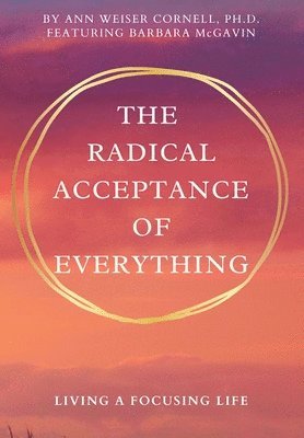 bokomslag The Radical Acceptance of Everything