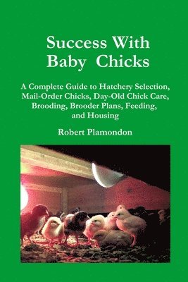 bokomslag Success with Baby Chicks