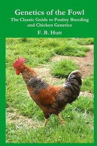 bokomslag Genetics of the Fowl