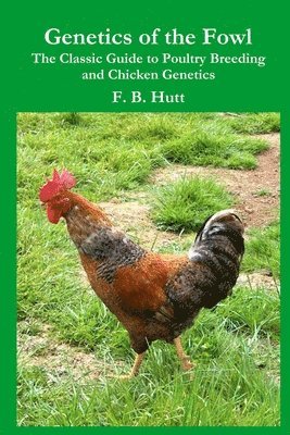 bokomslag Genetics of the Fowl